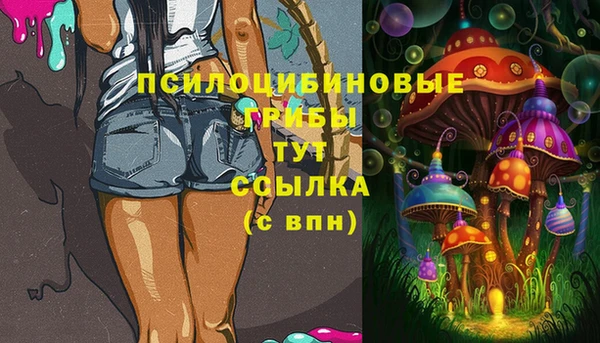 Альфа ПВП Алексин